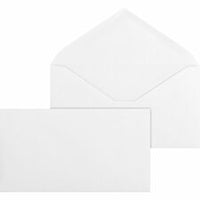 Business Source No. 6-3/4 White Wove V-Flap Business Envelopes