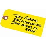 Avery¨ Shipping Tags - Unstrung