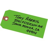 Avery¨ Shipping Tags - Unstrung